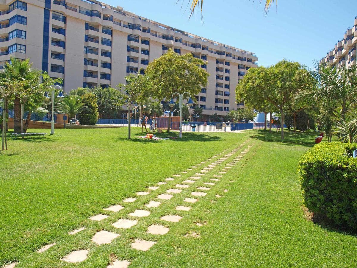 Apartup Patacona Orchard Views Valencia Kültér fotó